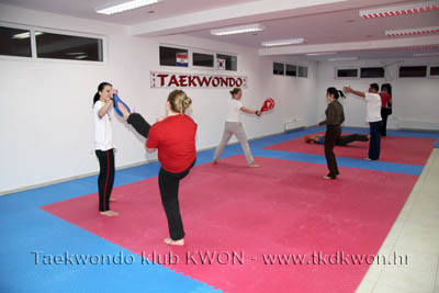 taekwondo kwon training